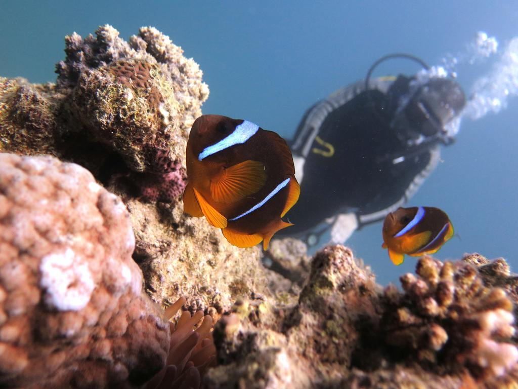 Bait Alaqaba Resort מראה חיצוני תמונה