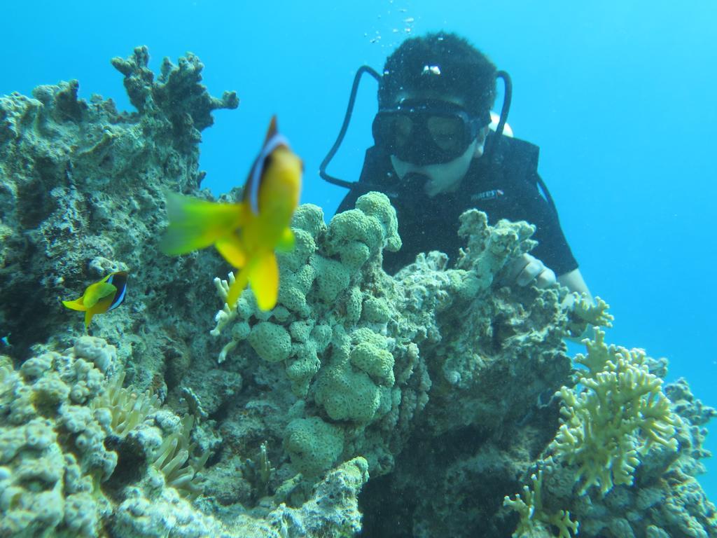 Bait Alaqaba Resort מראה חיצוני תמונה